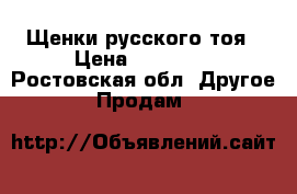 Щенки русского тоя › Цена ­ 20 000 - Ростовская обл. Другое » Продам   